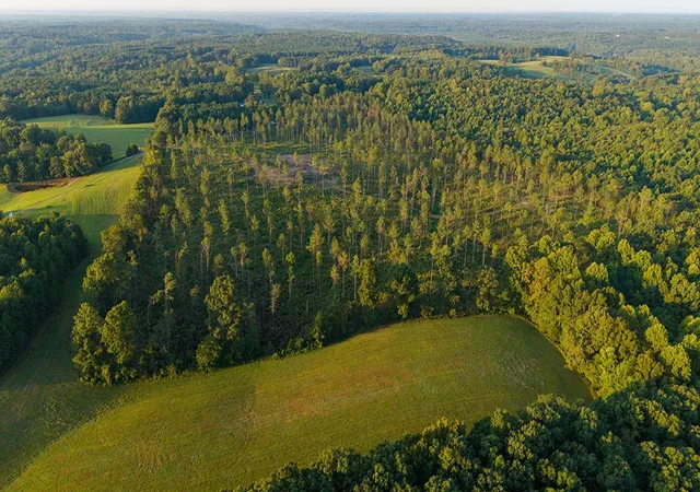 Photo 3 of Land for sale at 1 Gilchrist Rd, Cypress Inn, TN 38452 | MLS# 3596181 | Listing updated on 2026-09-19