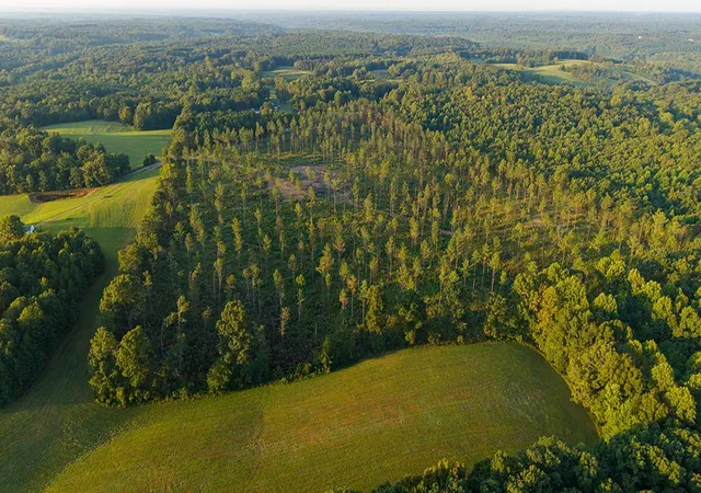 Photo 4 of Land for sale at 1 Gilchrist Rd, Cypress Inn, TN 38452 | MLS# 3596181 | Listing updated on 2026-09-19