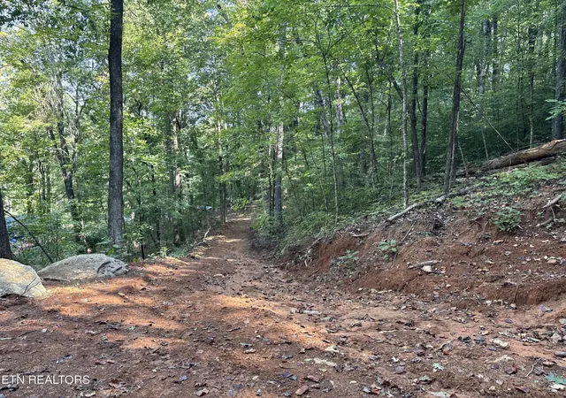 Photo 3 of Land for sale at 0 County Rd 38, Riceville, TN 37370 | MLS# 3596351 | Listing updated on 2026-10-08