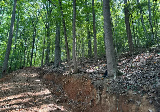 Photo 4 of Land for sale at 0 County Rd 38, Riceville, TN 37370 | MLS# 3596351 | Listing updated on 2026-10-08