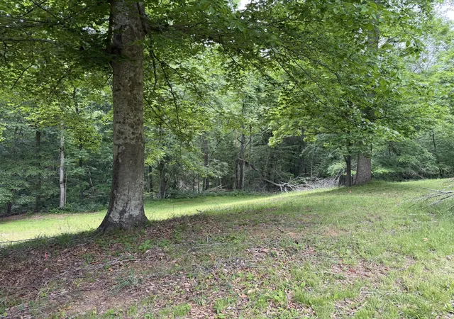 Photo 2 of Land for sale at 0 Mud Holw Rd, Hendersonville, TN 37075 | MLS# 3596377 | Listing updated on 2026-09-20