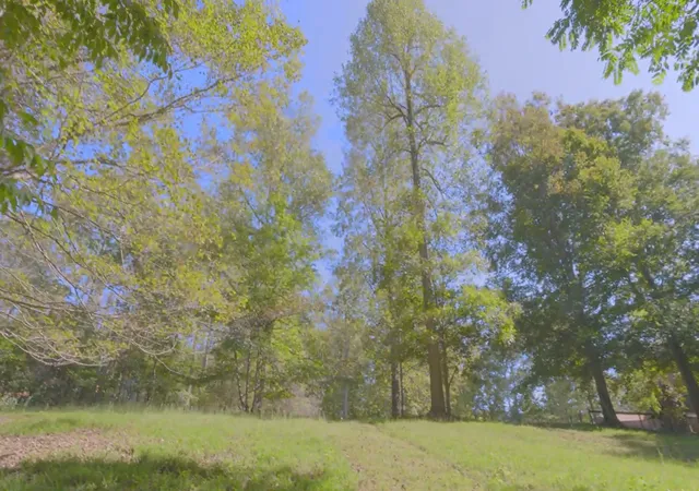 Photo 3 of Land for sale at 0 Mud Holw Rd, Hendersonville, TN 37075 | MLS# 3596377 | Listing updated on 2026-09-20