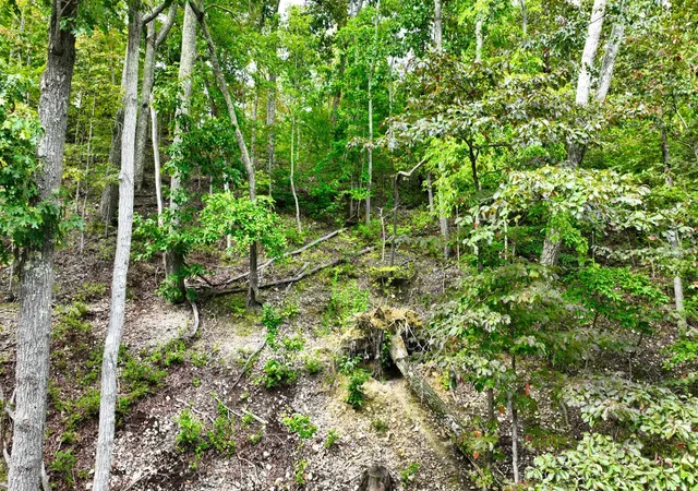 Photo 1 of Land for sale at 1 Ridge Top Rd, Stewart, TN 37175 | MLS# 3596421 | Listing updated on 2026-09-22