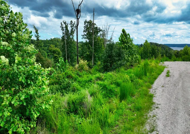 Photo 3 of Land for sale at 1 Ridge Top Rd, Stewart, TN 37175 | MLS# 3596421 | Listing updated on 2026-09-22