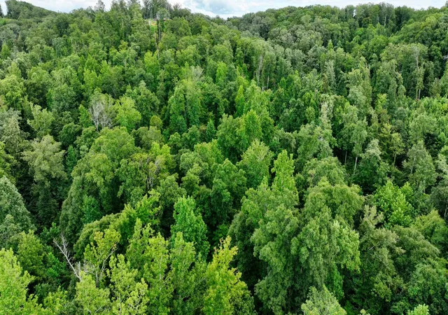 Photo 4 of Land for sale at 1 Ridge Top Rd, Stewart, TN 37175 | MLS# 3596421 | Listing updated on 2026-09-22