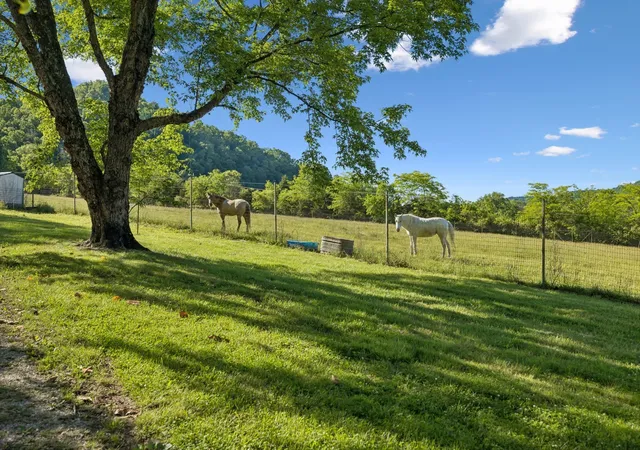 Photo 3 of Single family home for sale at 97 Seabo Valley Ln, Hickman, TN 38567 | MLS# 3610148 | Listing updated on 2026-10-02