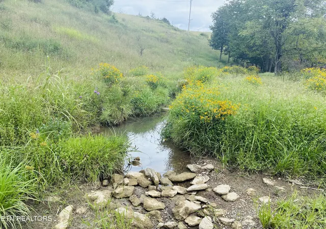 Photo 4 of Sale Pending at 0 Cantwell Valley Rd, Sneedville, TN 37869 | MLS# 3596485 | Listing updated on 2026-10-08