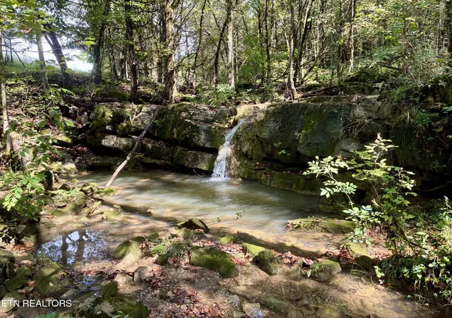 Photo 2 of Sale Pending at 0 Cantwell Valley Rd, Sneedville, TN 37869 | MLS# 3596485 | Listing updated on 2026-10-08