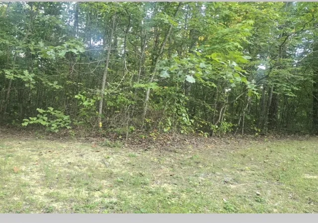 Photo 1 of Land for sale at 0 Calico Ln, Crawford, TN 38554 | MLS# 3596572 | Listing updated on 2026-09-21