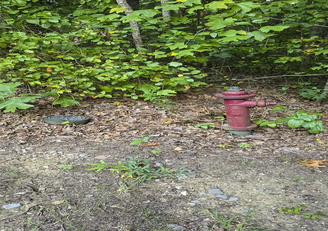 Photo 3 of Land for sale at 0 Calico Ln, Crawford, TN 38554 | MLS# 3596572 | Listing updated on 2026-09-21