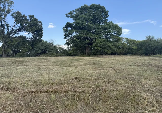 Land for sale at 1 Hog Holw Ln, Bethpage, TN 37022 | MLS# 3596593