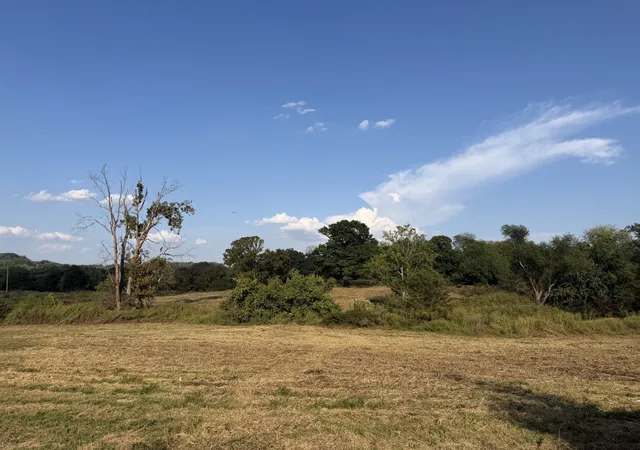 Photo 1 of Land for sale at 1 Hog Holw Ln, Bethpage, TN 37022 | MLS# 3596593 | Listing updated on 2026-09-21