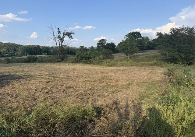 Photo 3 of Land for sale at 1 Hog Holw Ln, Bethpage, TN 37022 | MLS# 3596593 | Listing updated on 2026-09-21
