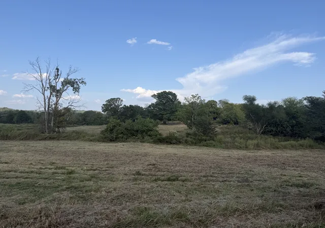 Photo 4 of Land for sale at 1 Hog Holw Ln, Bethpage, TN 37022 | MLS# 3596593 | Listing updated on 2026-09-21