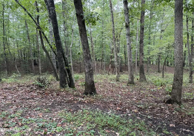 Photo 1 of Land for sale at 113 Hunterwood Ln, Crossville, TN 38558 | MLS# 3596610 | Listing updated on 2026-09-21