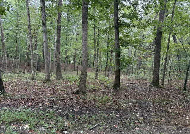 Photo 2 of Land for sale at 113 Hunterwood Ln, Crossville, TN 38558 | MLS# 3596610 | Listing updated on 2026-09-21