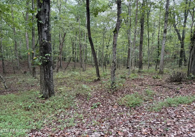 Photo 3 of Land for sale at 113 Hunterwood Ln, Crossville, TN 38558 | MLS# 3596610 | Listing updated on 2026-09-21