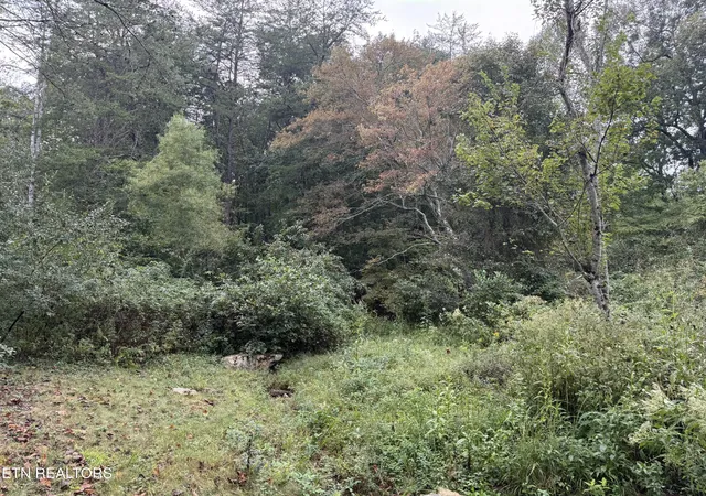 Photo 4 of Land for sale at 113 Hunterwood Ln, Crossville, TN 38558 | MLS# 3596610 | Listing updated on 2026-09-21