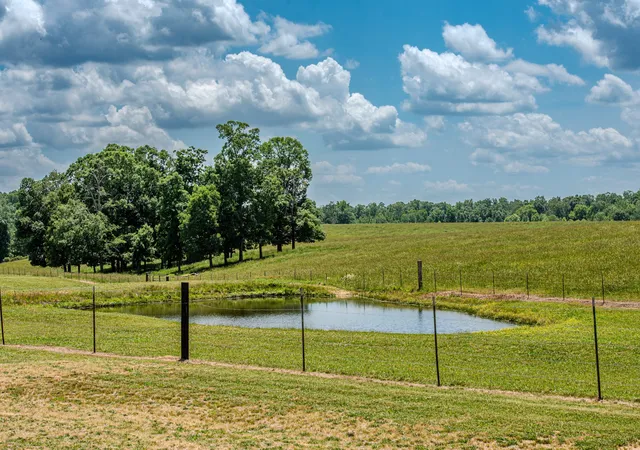 Photo 3 of Manufactured home for sale at 1198 David Patterson Rd, Lutts, TN 38471 | MLS# 3597004 | Listing updated on 2026-09-21