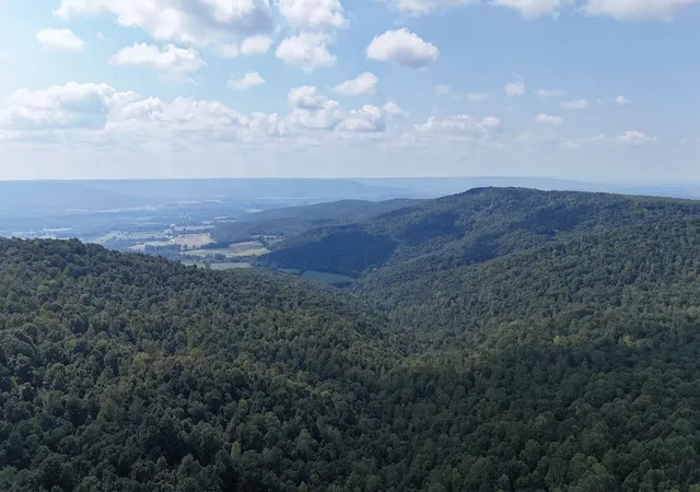 Photo 3 of Land for sale at 0 Deer Run Rd, Altamont, TN 37301 | MLS# 3597086 | Listing updated on 2026-09-23
