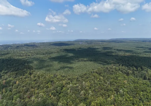 Photo 4 of Land for sale at 0 Deer Run Rd, Altamont, TN 37301 | MLS# 3597086 | Listing updated on 2026-09-23