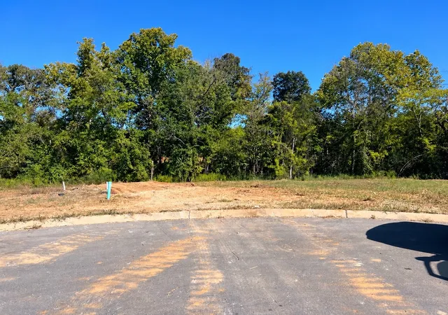 Photo 2 of Land for sale at 1139 Willow Springs Dr, Lebanon, TN 37087 | MLS# 3597057 | Listing updated on 2026-10-05