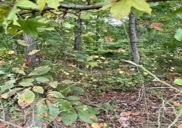 Photo 2 of Land for sale at 0 N Hummingbird Ln, Dickson, TN 37055 | MLS# 3597362 | Listing updated on 2026-09-24