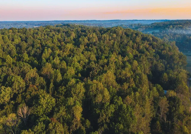 Photo 1 of Land for sale at 0 Rock Springs Rd, Cumberland Furnace, TN 37051 | MLS# 3597318 | Listing updated on 2026-09-24