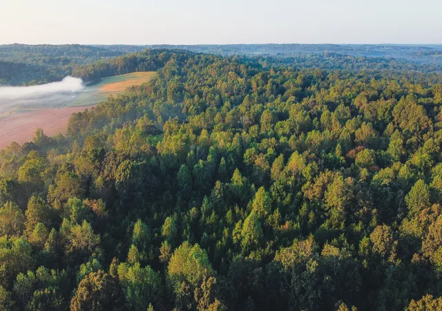 Photo 2 of Land for sale at 0 Rock Springs Rd, Cumberland Furnace, TN 37051 | MLS# 3597318 | Listing updated on 2026-09-24