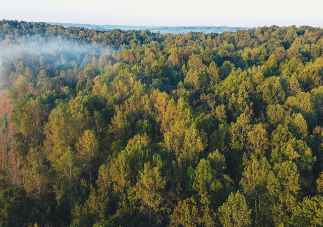 Photo 3 of Land for sale at 0 Rock Springs Rd, Cumberland Furnace, TN 37051 | MLS# 3597318 | Listing updated on 2026-09-24