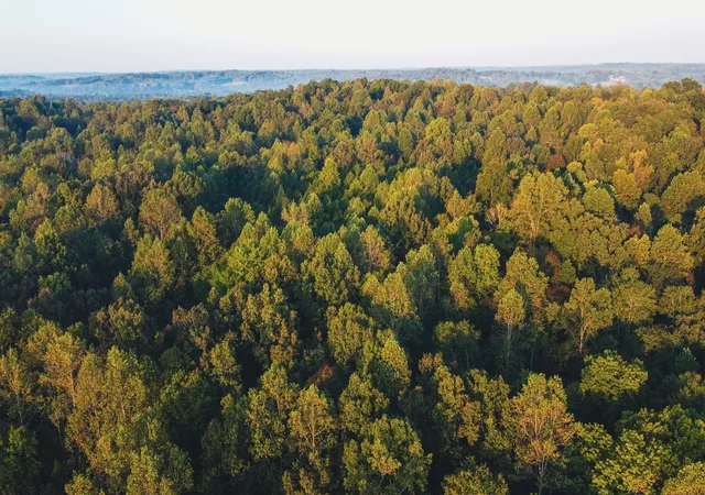 Photo 3 of House for sale at 0 Rock Springs Rd, Cumberland Furnace, TN 37051 | MLS# 3597318 | Listing updated on 2026-09-24