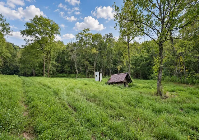 Photo 3 of Land for sale at 2994 Pulaski Hwy, Frankewing, TN 38459 | MLS# 3598525 | Listing updated on 2026-10-09