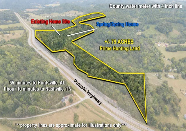 Photo 1 of Land for sale at 2994 Pulaski Hwy, Frankewing, TN 38459 | MLS# 3598525 | Listing updated on 2026-10-09