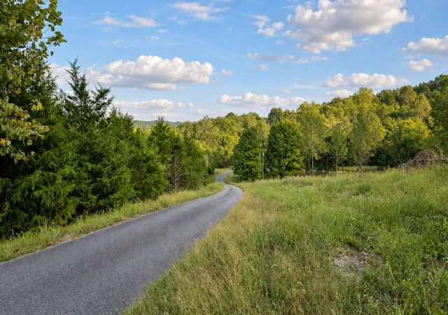 Photo 4 of Land for sale at 2994 Pulaski Hwy, Frankewing, TN 38459 | MLS# 3598525 | Listing updated on 2026-10-09