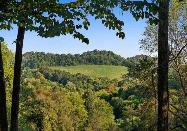 Land for sale at 573 Happy Valley Rd, Bell Buckle, TN 37020 | MLS# 3597152