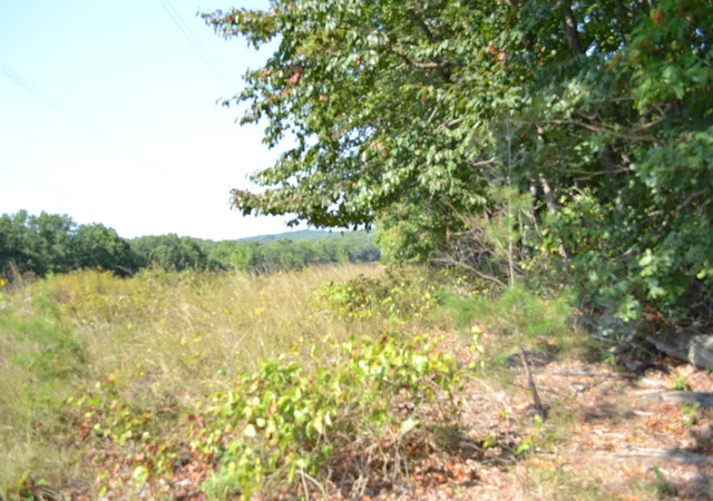 Photo 1 of Land for sale at 2156 St Pl Loop, Monterey, TN 38574 | MLS# 3597160 | Listing updated on 2026-09-21
