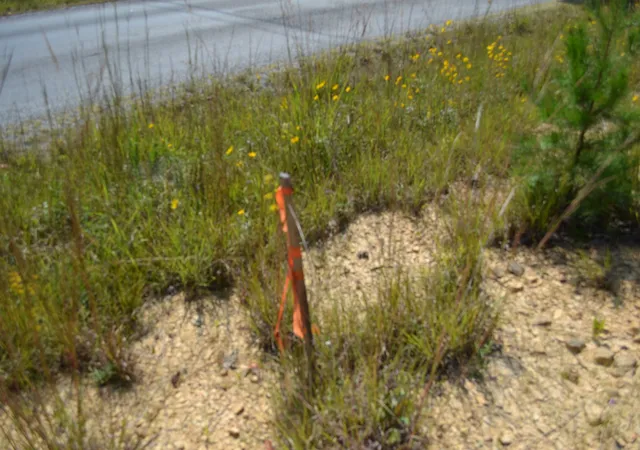Photo 3 of Land for sale at 2156 St Pl Loop, Monterey, TN 38574 | MLS# 3597160 | Listing updated on 2026-09-21