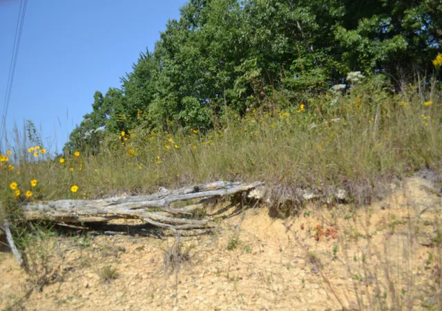 Photo 4 of Land for sale at 2156 St Pl Loop, Monterey, TN 38574 | MLS# 3597160 | Listing updated on 2026-09-21
