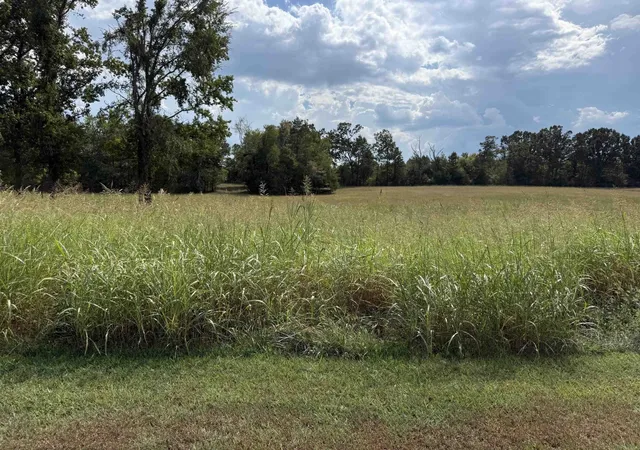 Land for sale at 16 Twelve Oaks Dr, Adamsville, TN 38310 | MLS# 3597230