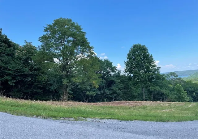 Photo 3 of Land for sale at 0 Goose Rd, Hilham, TN 38568 | MLS# 3597237 | Listing updated on 2026-09-21