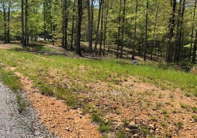 Photo 1 of Land for sale at 81 The Woodlands Of Nashville, Mc Ewen, TN 37101 | MLS# 3597247 | Listing updated on 2026-09-21