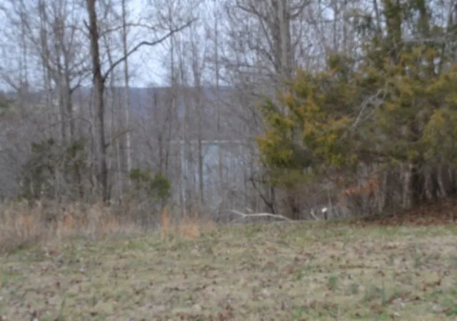 Photo 3 of Land for sale at 0 Fox Hl Rd, Baxter, TN 38544 | MLS# 3597263 | Listing updated on 2026-09-21