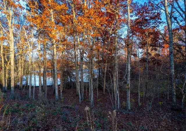 Photo 3 of Land for sale at 36 Deer Crk Dr, Crossville, TN 38571 | MLS# 3610661 | Listing updated on 2026-10-02