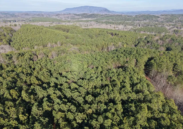 Photo 3 of Land for sale at 180 Rock Crk Dr, Old Fort, TN 37362 | MLS# 3597420 | Listing updated on 2026-09-22