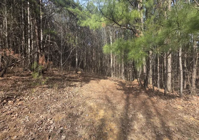 Photo 3 of Land for sale at 180 Rock Crk Dr, Old Fort, TN 37362 | MLS# 3597420 | Listing updated on 2026-09-22