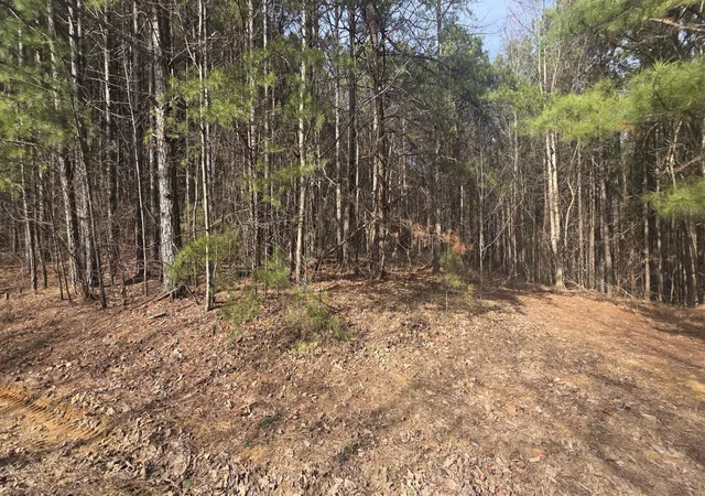 Photo 4 of Land for sale at 180 Rock Crk Dr, Old Fort, TN 37362 | MLS# 3597420 | Listing updated on 2026-09-22