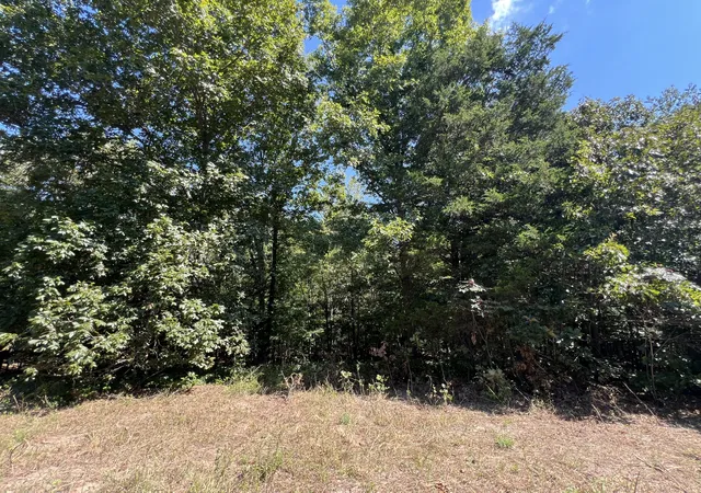 Photo 2 of Land for sale at 0 Piper Rd, Bon Aqua, TN 37025 | MLS# 3597880 | Listing updated on 2026-09-25