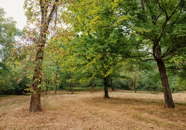 Land for sale at 0 Lula Ln, Franklin, TN 37064 | MLS# 3597391