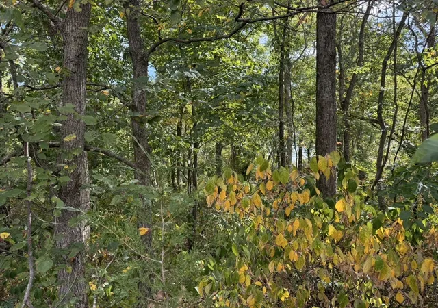 Photo 1 of Land for sale at 0 Cox Rd, Arrington, TN 37014 | MLS# 3613186 | Listing updated on 2026-10-07