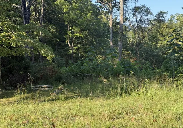 Photo 1 of Land for sale at 1190 Bell Holw Rd, Vanleer, TN 37181 | MLS# 3597408 | Listing updated on 2026-09-24